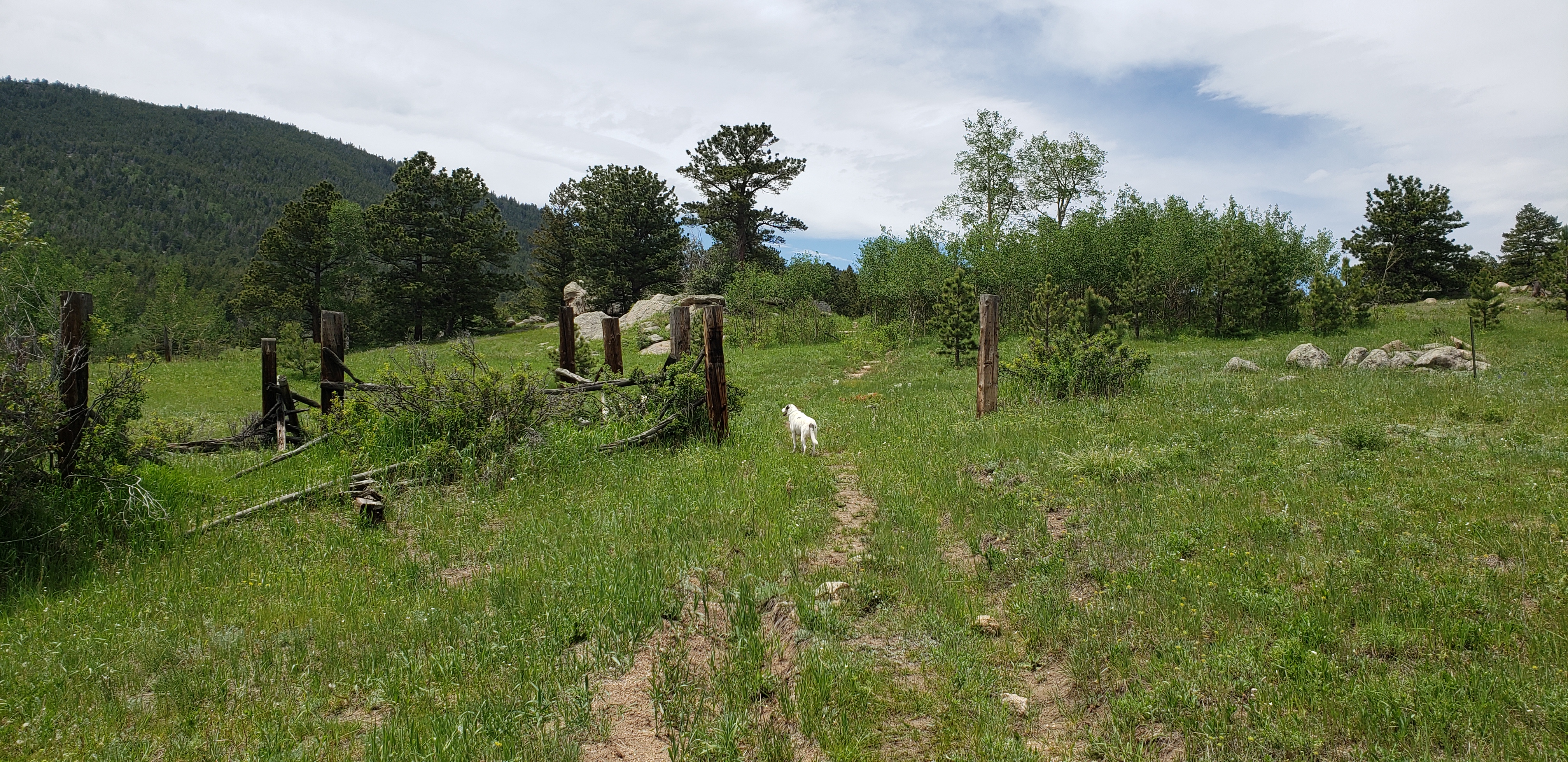 Footsteps Through the Past: A Journey on Lion Gulch&nbsp;Trail