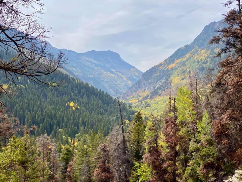 Exploring the Hidden Treasures of Crystal City: A Journey Through Colorado’s Autumn&nbsp;Splendor
