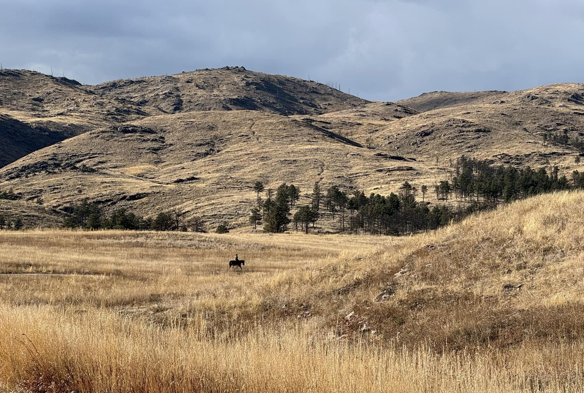 Embracing New Beginnings: A First Day Hike into the&nbsp;Wilderness