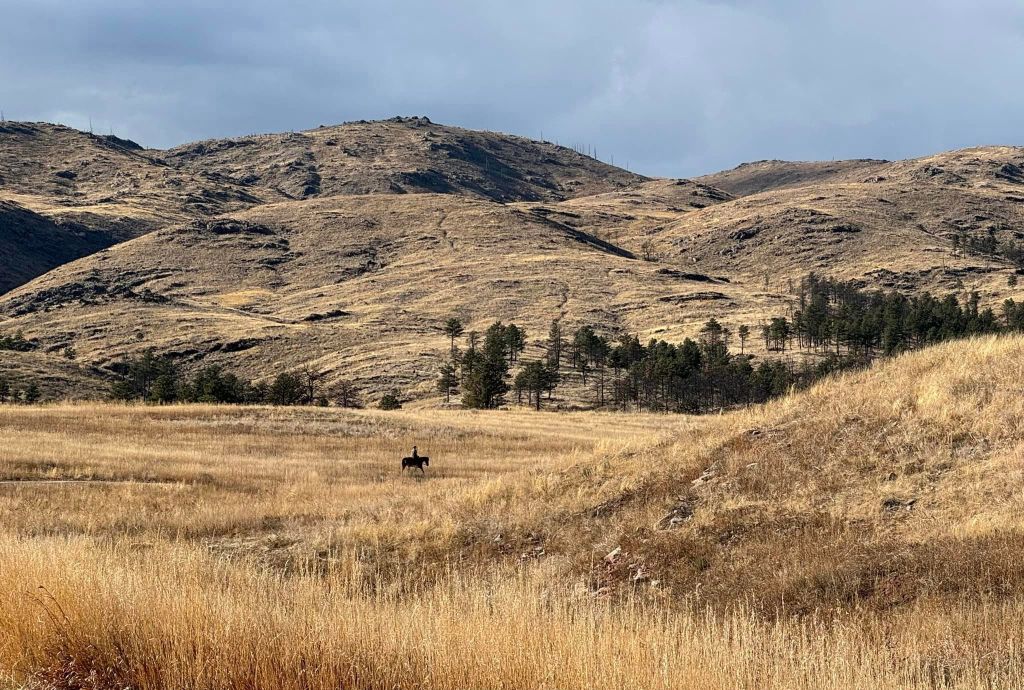 Embracing New Beginnings: A First Day Hike into the&nbsp;Wilderness