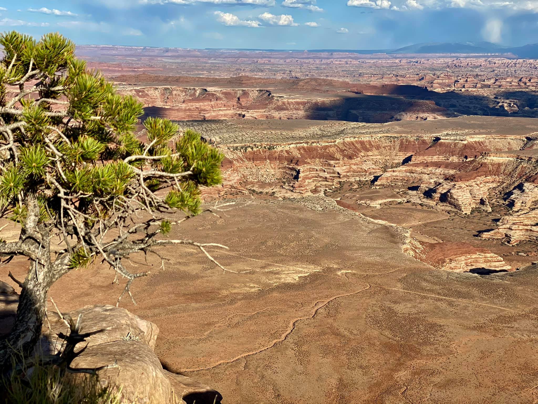Exploring Utah: Day 1 – Horseshoe Canyon and Panorama&nbsp;Point