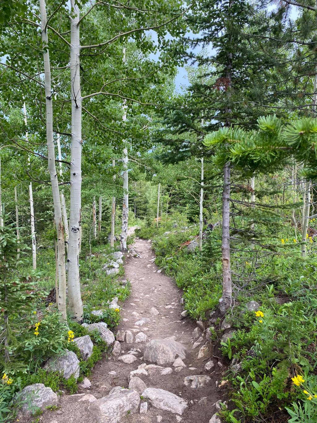 A Fourth of July Adventure in Rocky Mountain National&nbsp;Park