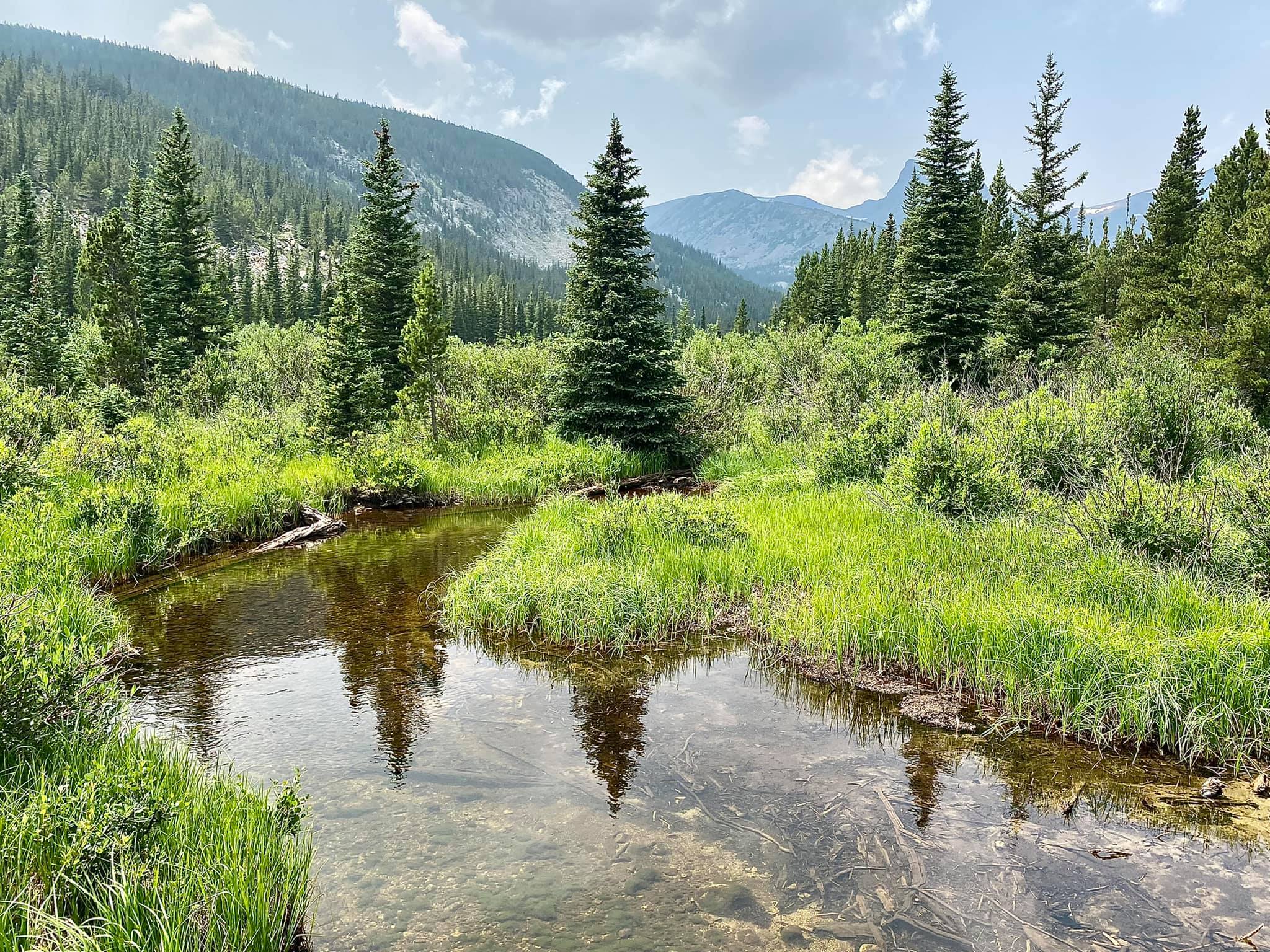 Jeep Day Adventure: Exploring Coney Flats 4WD&nbsp;Road