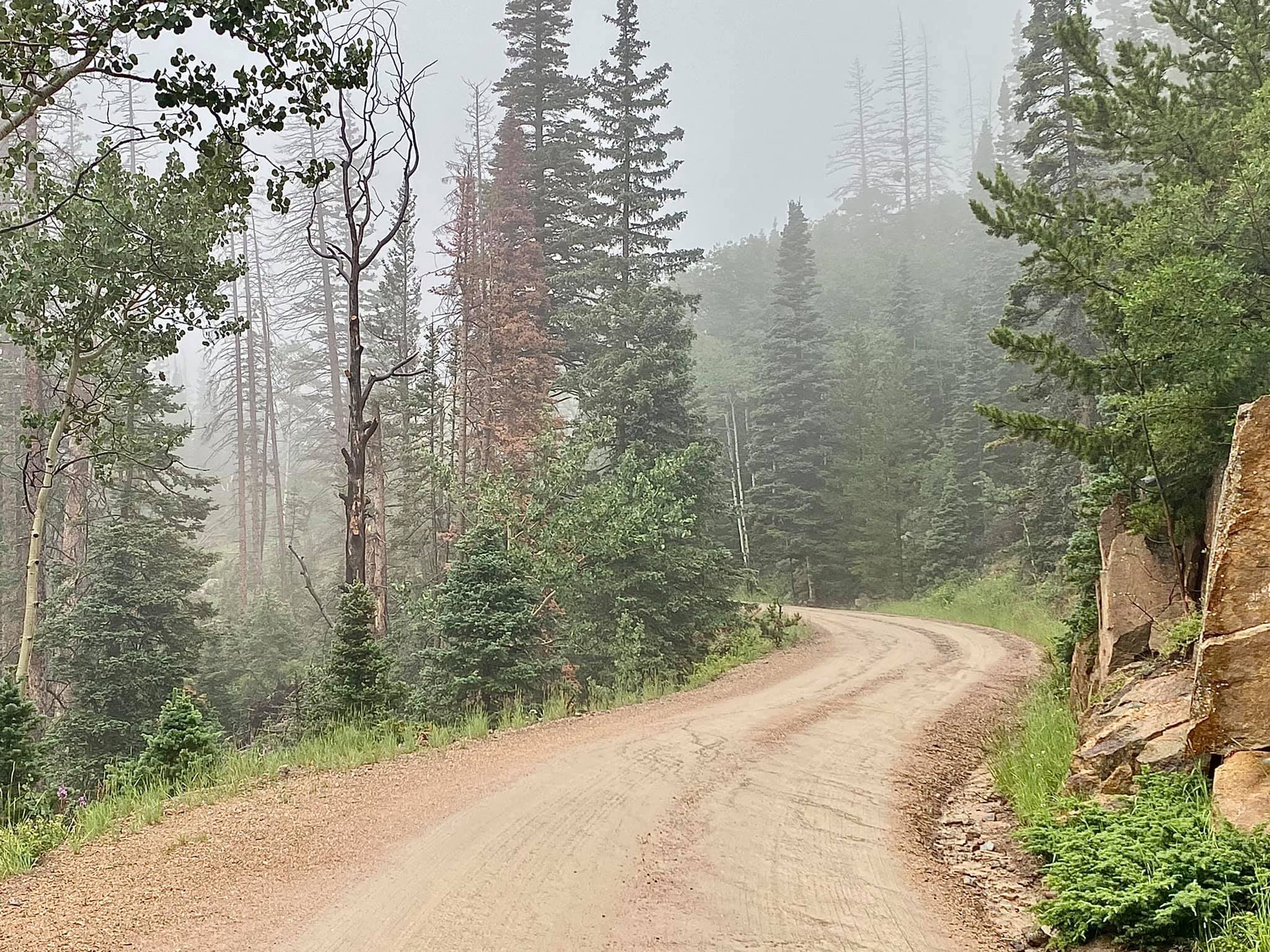 Enchanted Journey: Exploring Old Fall River Road in Rocky Mountain National&nbsp;Park