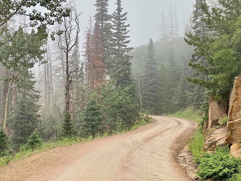 Enchanted Journey: Exploring Old Fall River Road in Rocky Mountain National&nbsp;Park