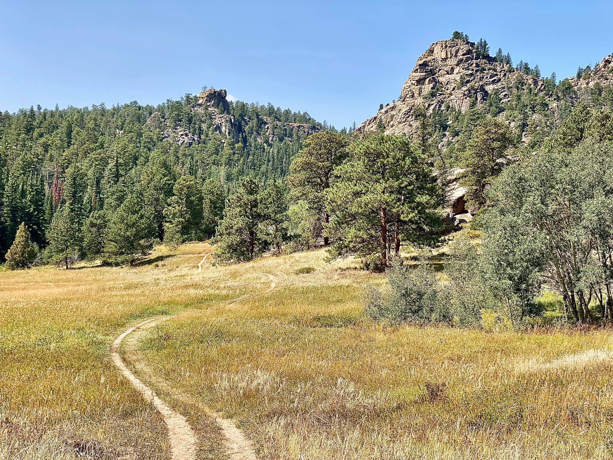 Exploring Cache La Poudre Wilderness: A Day of Nature and&nbsp;Adventure