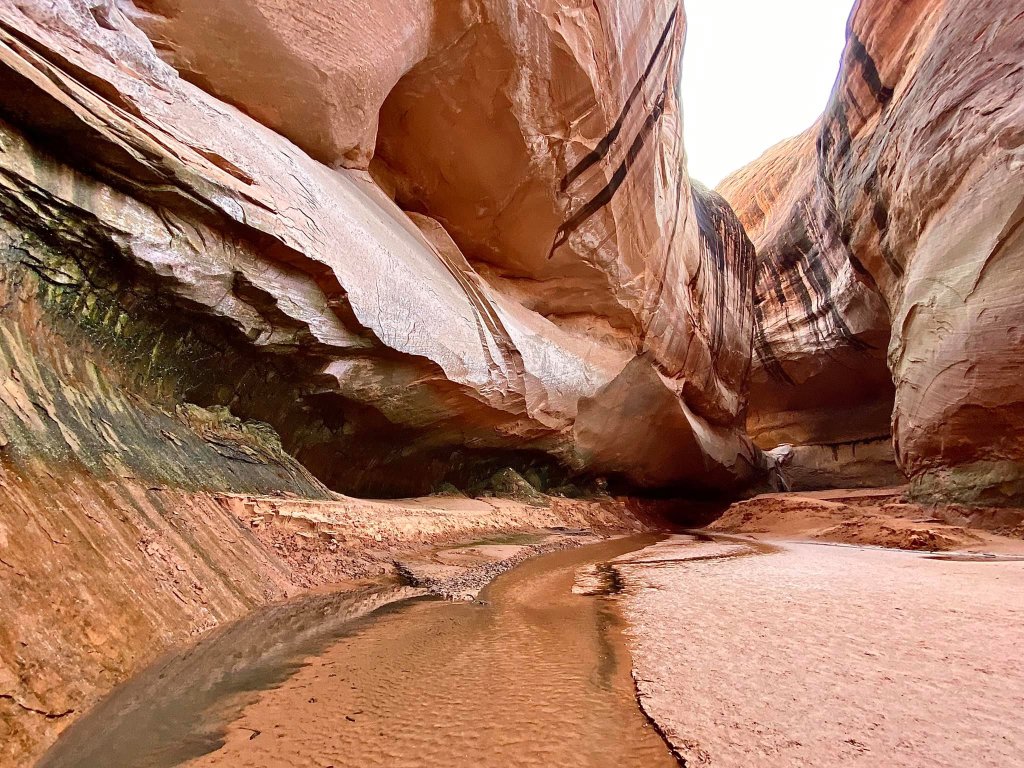 Exploring the Enchanting Cathedral in the Desert: A Kayaking Adventure at Lake&nbsp;Powell