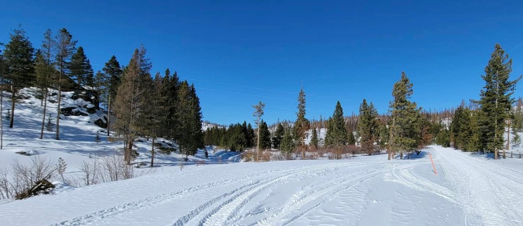 Reviving Adventure: Snowmobiling in Wyoming’s Snowy Range&nbsp;Area