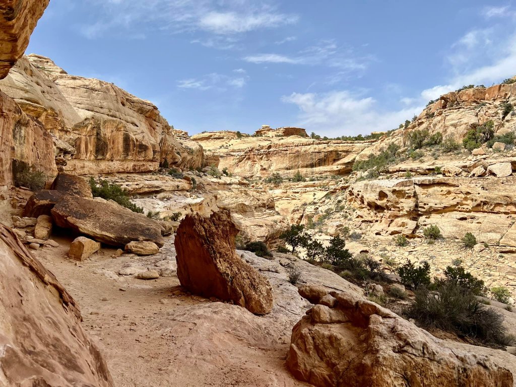 Rainy Explorations and Ancient Wonders: A Journey Through Canyonlands Maze&nbsp;District