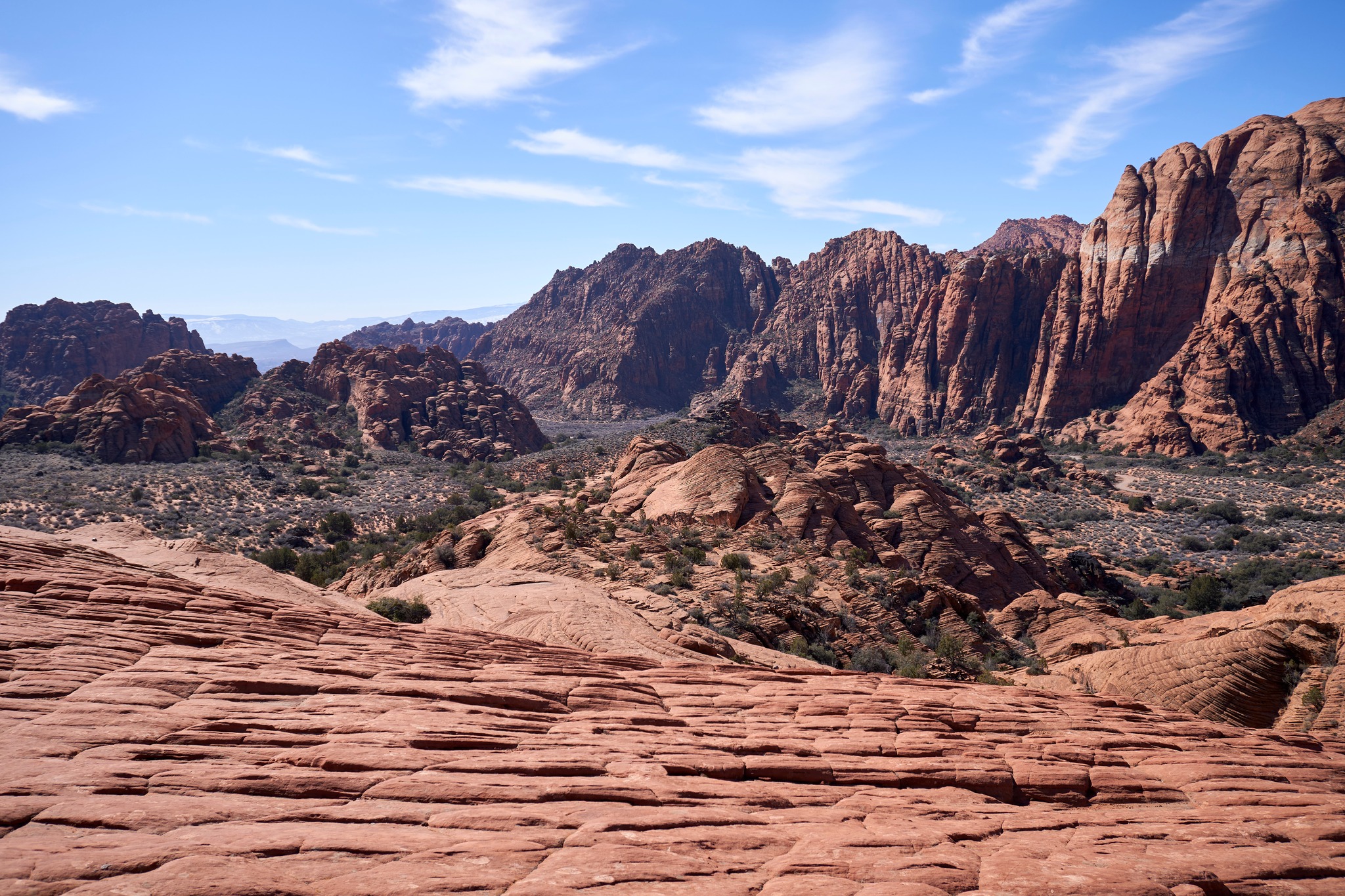 Exploring the Stunning Landscapes of Snow Canyon State&nbsp;Park
