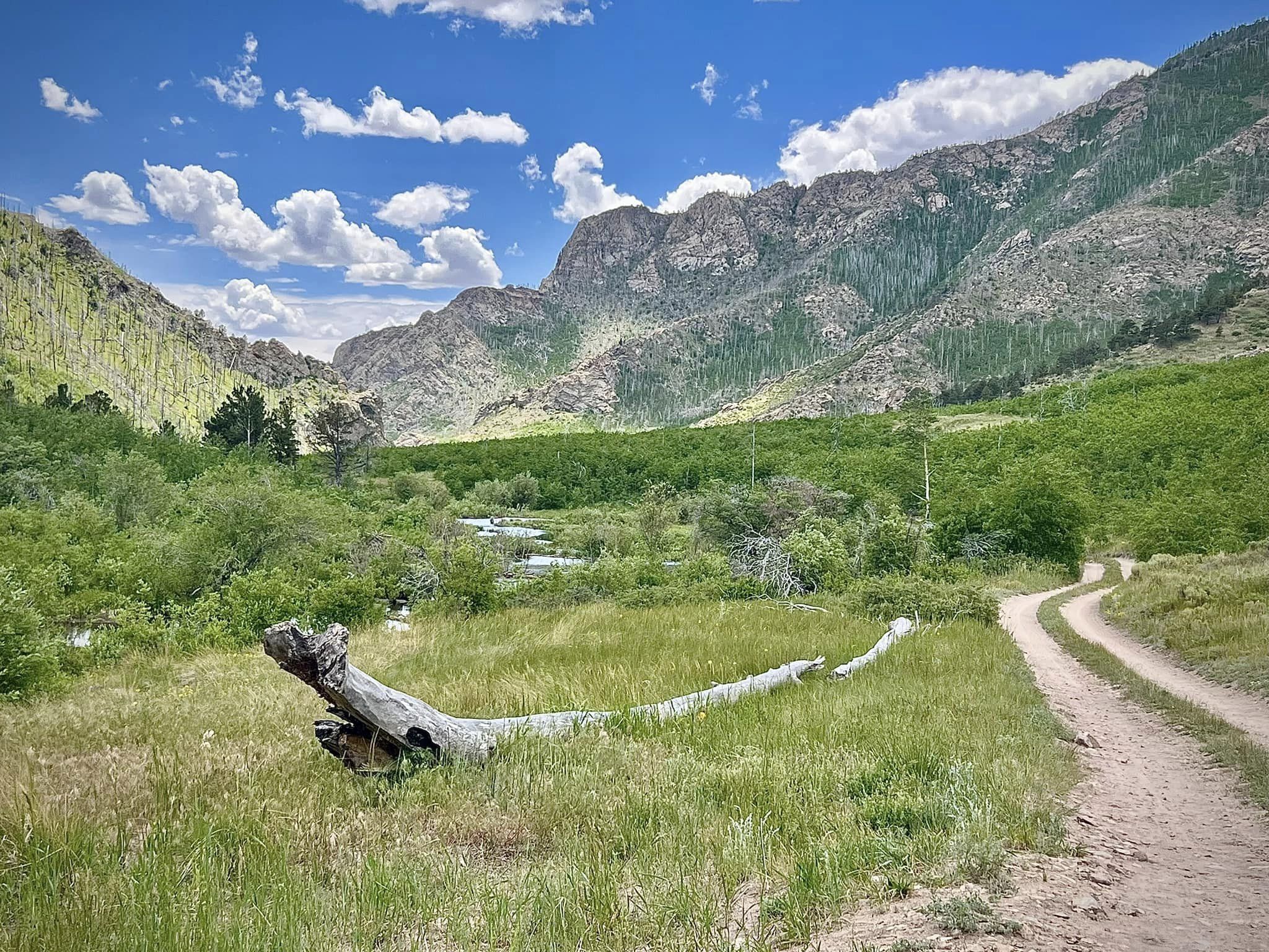 Off-Roading Adventure: Exploring Medano Pass & Hayden&nbsp;Pass