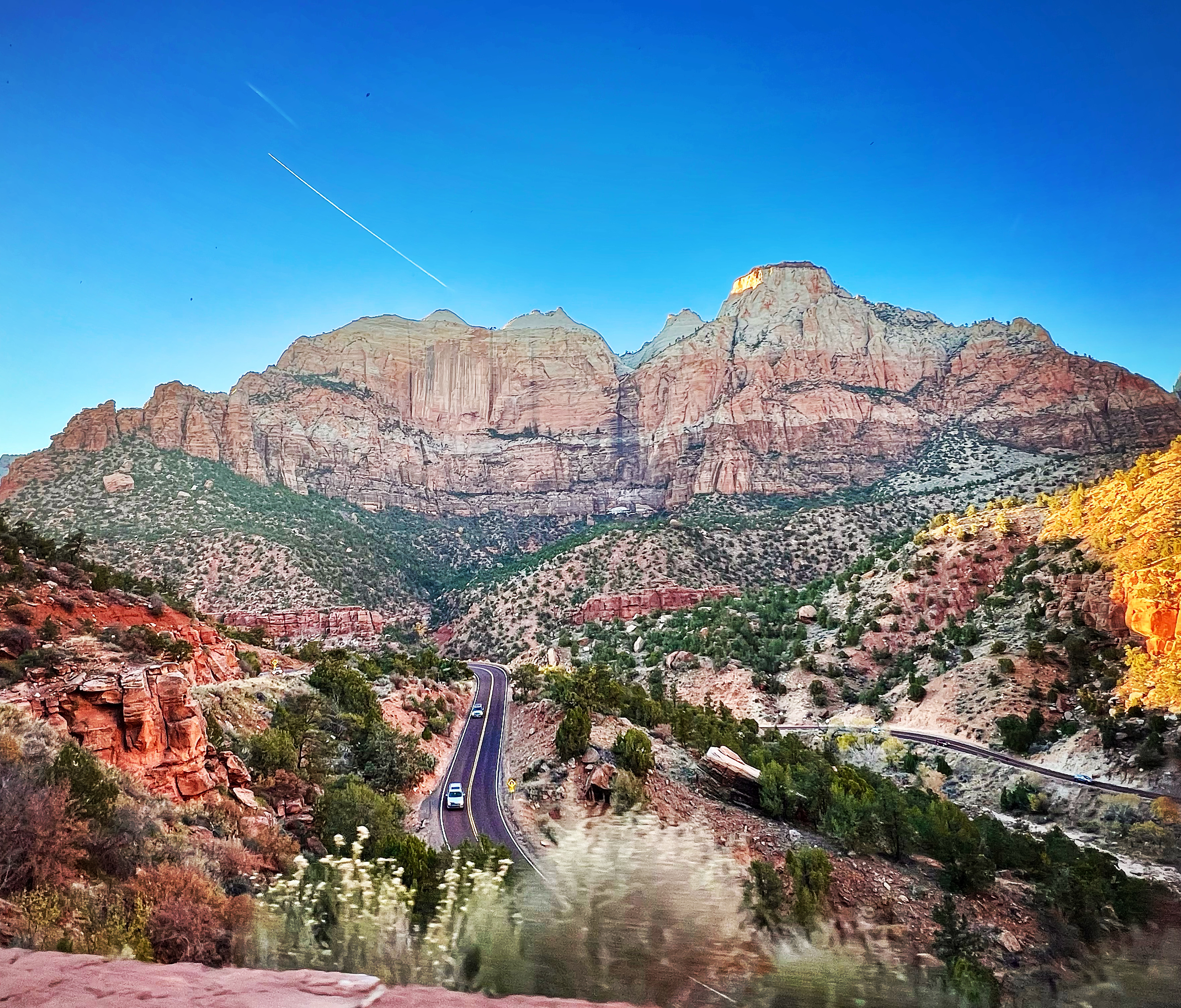 Giving Thanks Amidst the Majesty of&nbsp;Zion