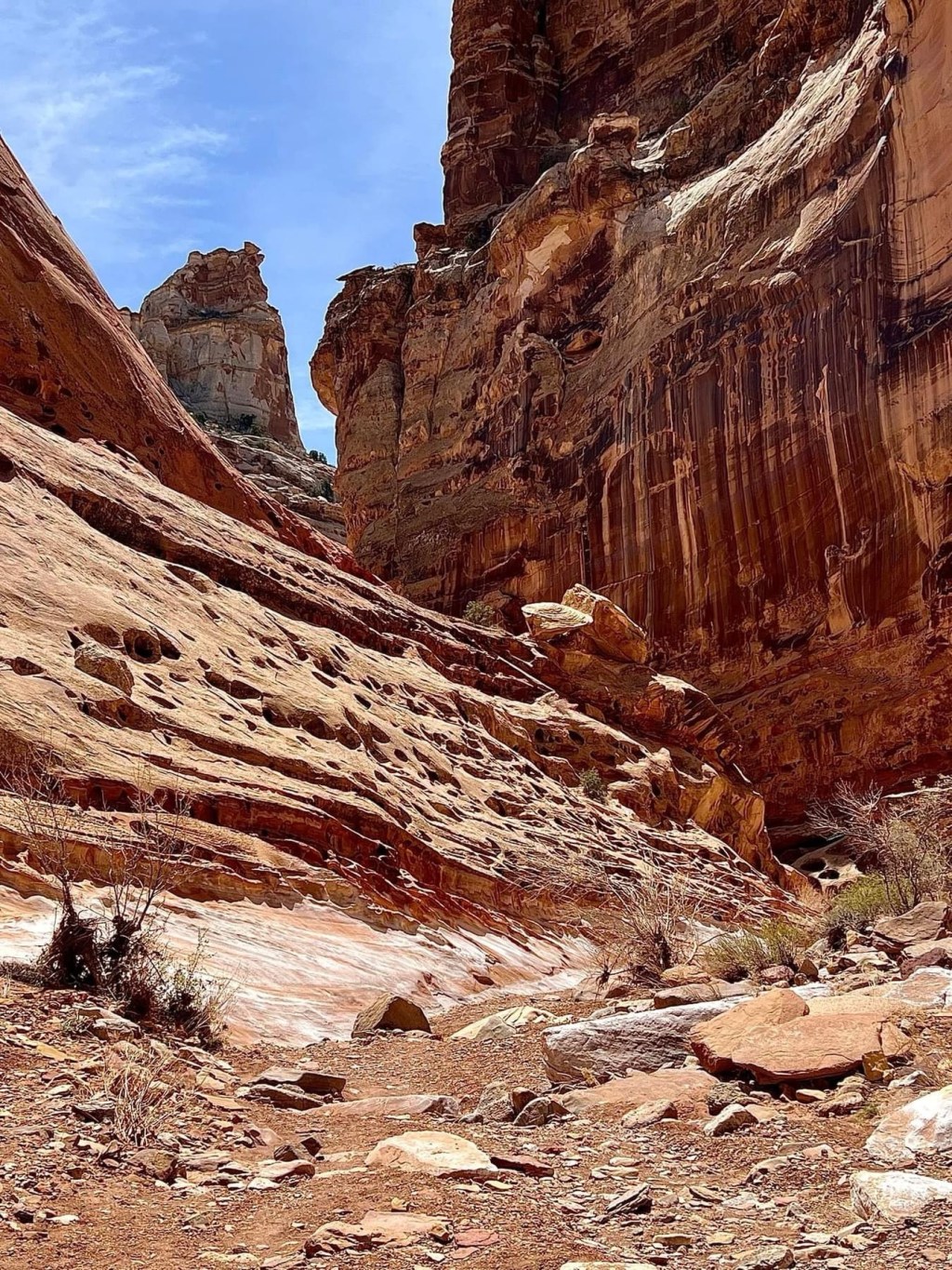 Discovering Hidden Gems: Exploring Behind the Reef in San Rafael&nbsp;Swell