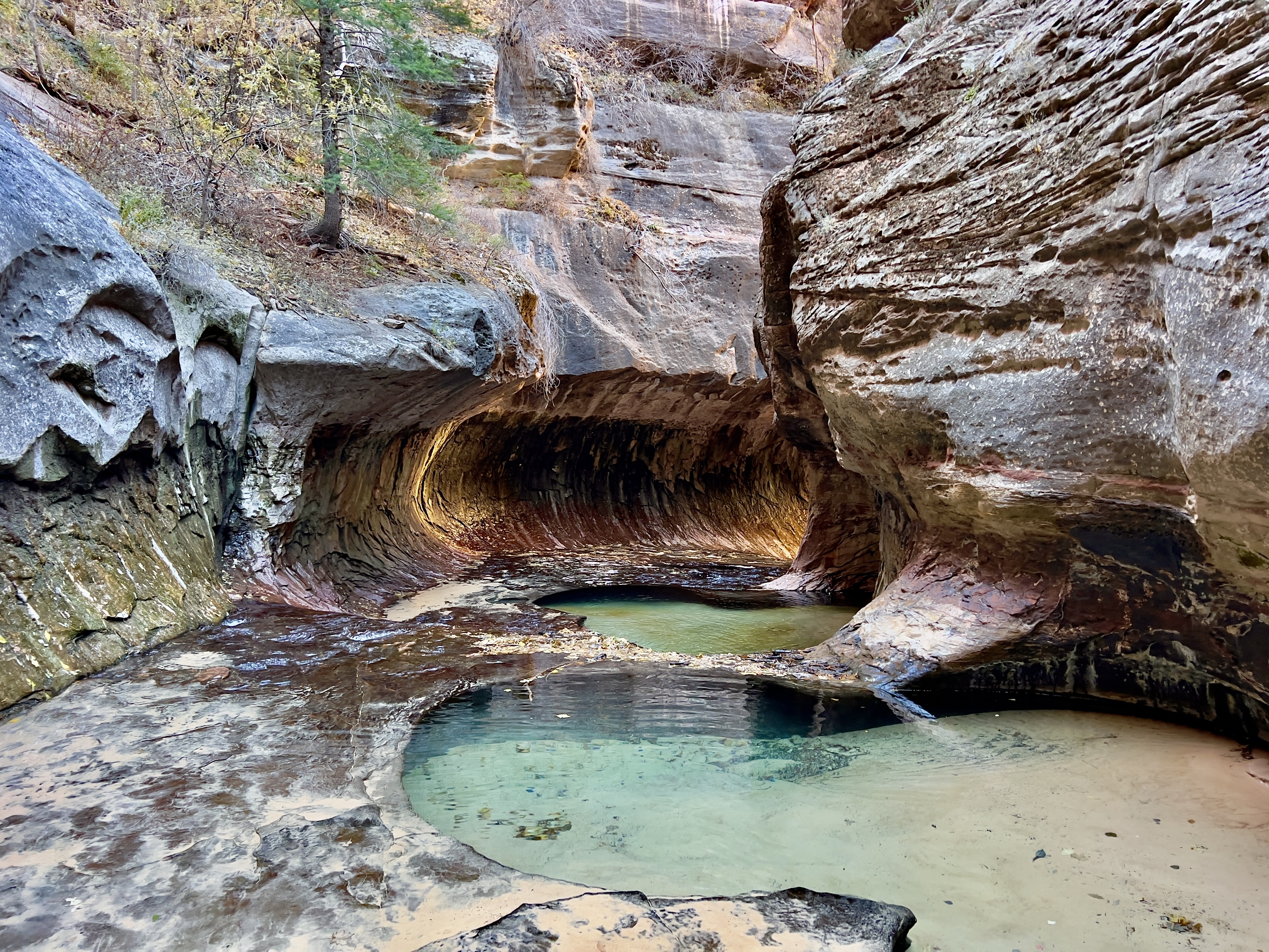 Conquering the Sublime: Canyoneering the Subway Top-Down Route in Zion National&nbsp;Park