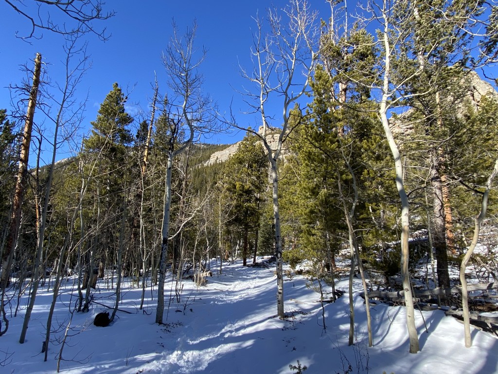 Embracing Winter’s Beauty: A Snowy Hike in Rocky Mountain National&nbsp;Park