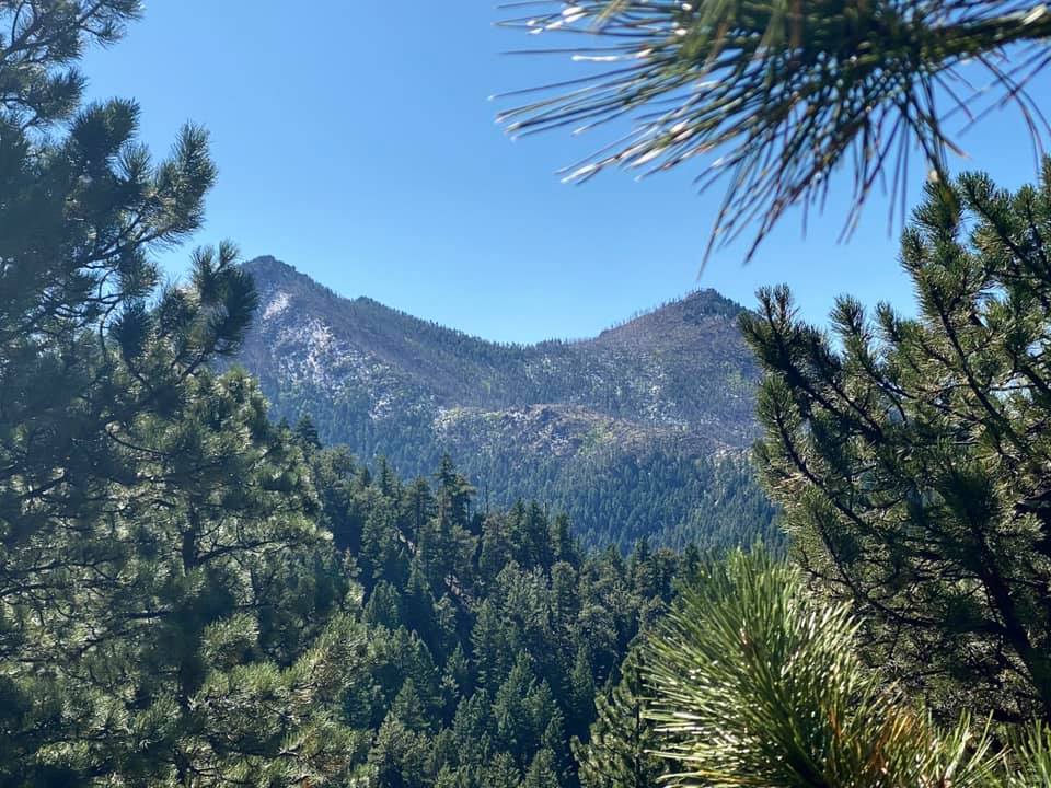 Hiking to Bear Peak: A Boulder&nbsp;Adventure