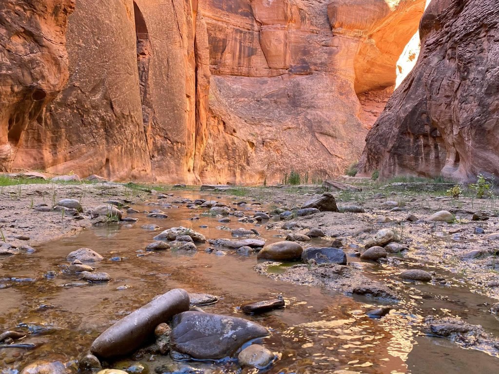 Farewell to the Canyon: Reflections on a 48-Mile Journey (Day&nbsp;4)