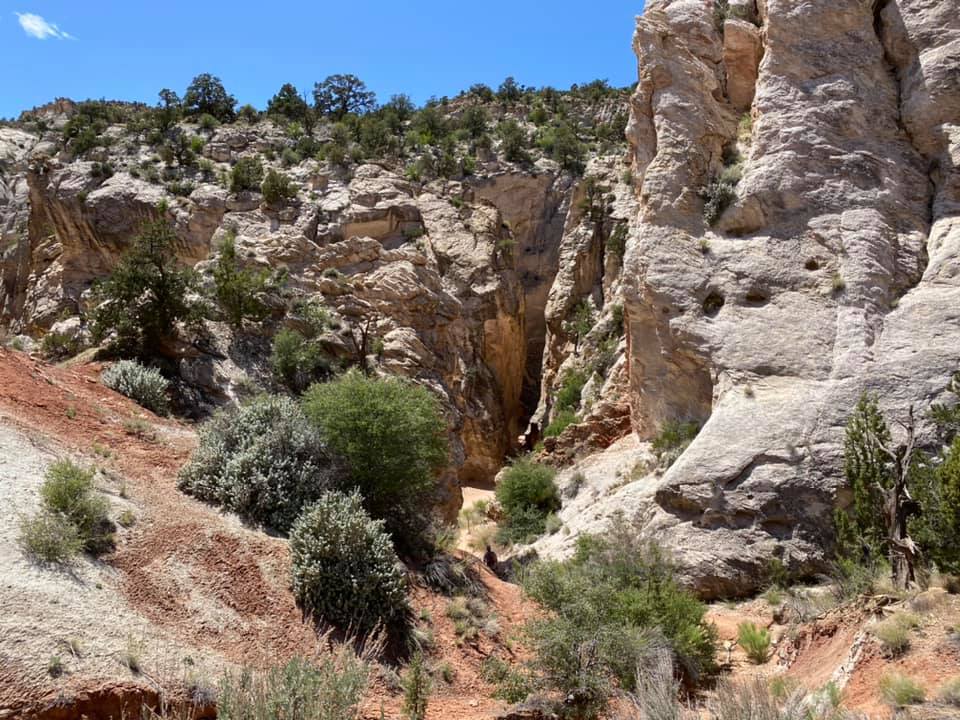 Exploring Utah’s Scenic Wonders: Cottonwood Canyon Road and Grosvenor&nbsp;Arch