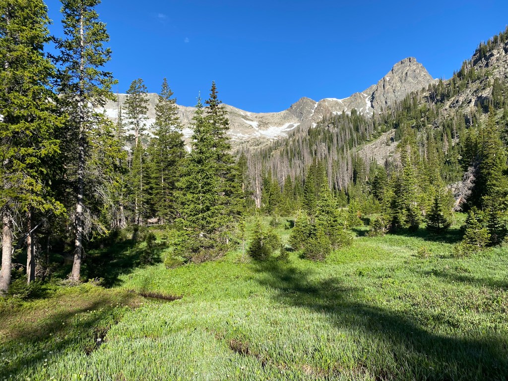 Finding Solitude in Nature: Backpacking at Skeleton Gulch, Rocky Mountain National&nbsp;Park