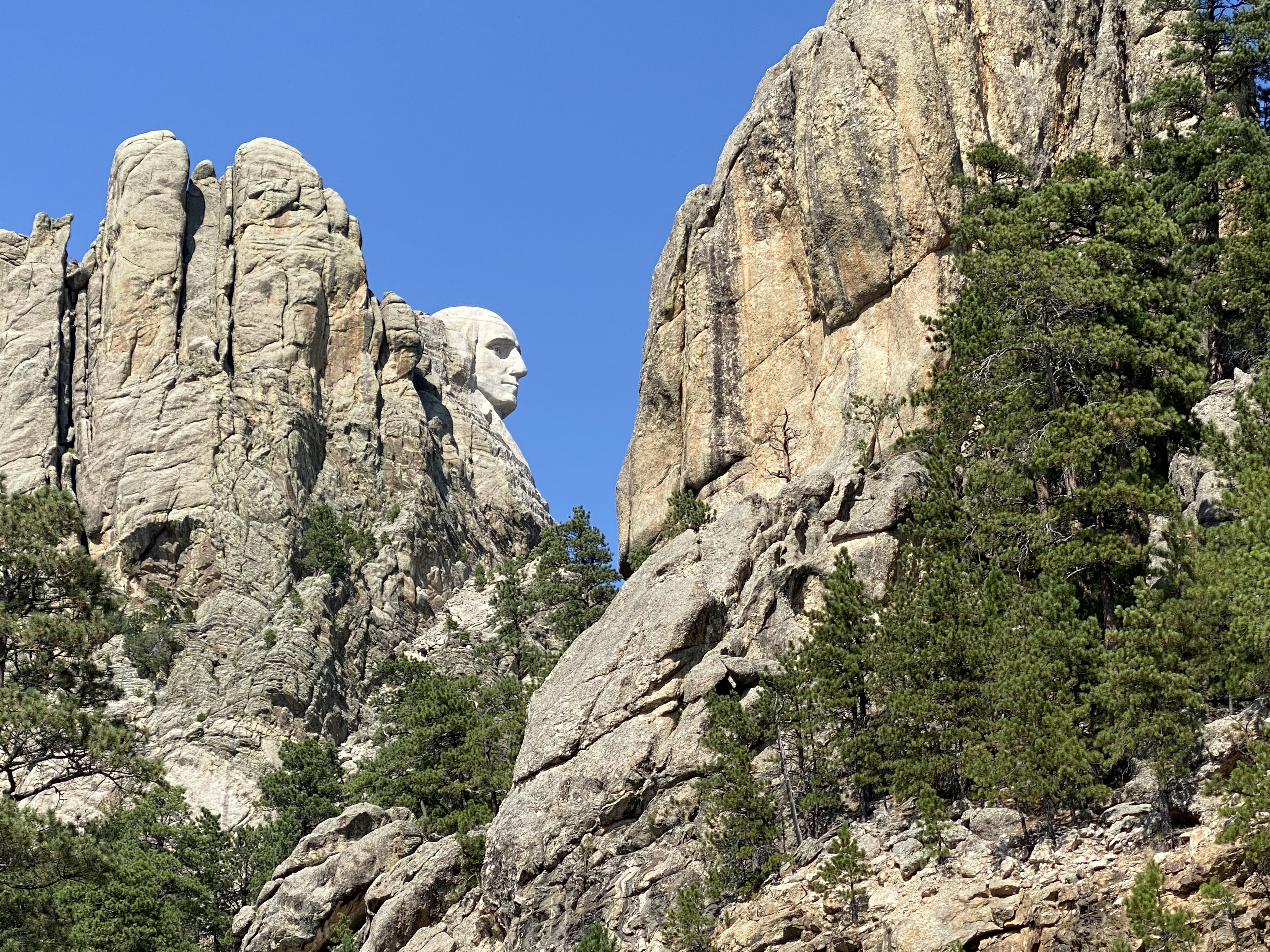 Rediscovering the Beauty of the Black Hills: A Weekend&nbsp;Adventure