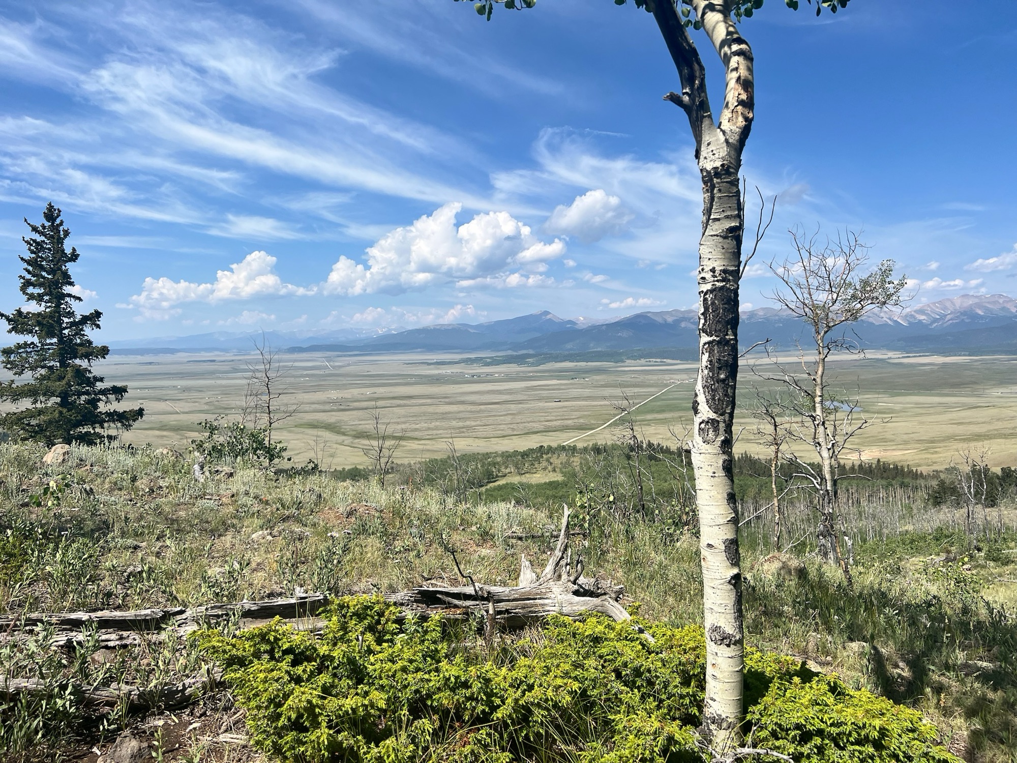 Colorado Trail: Segment 5&nbsp;Adventure