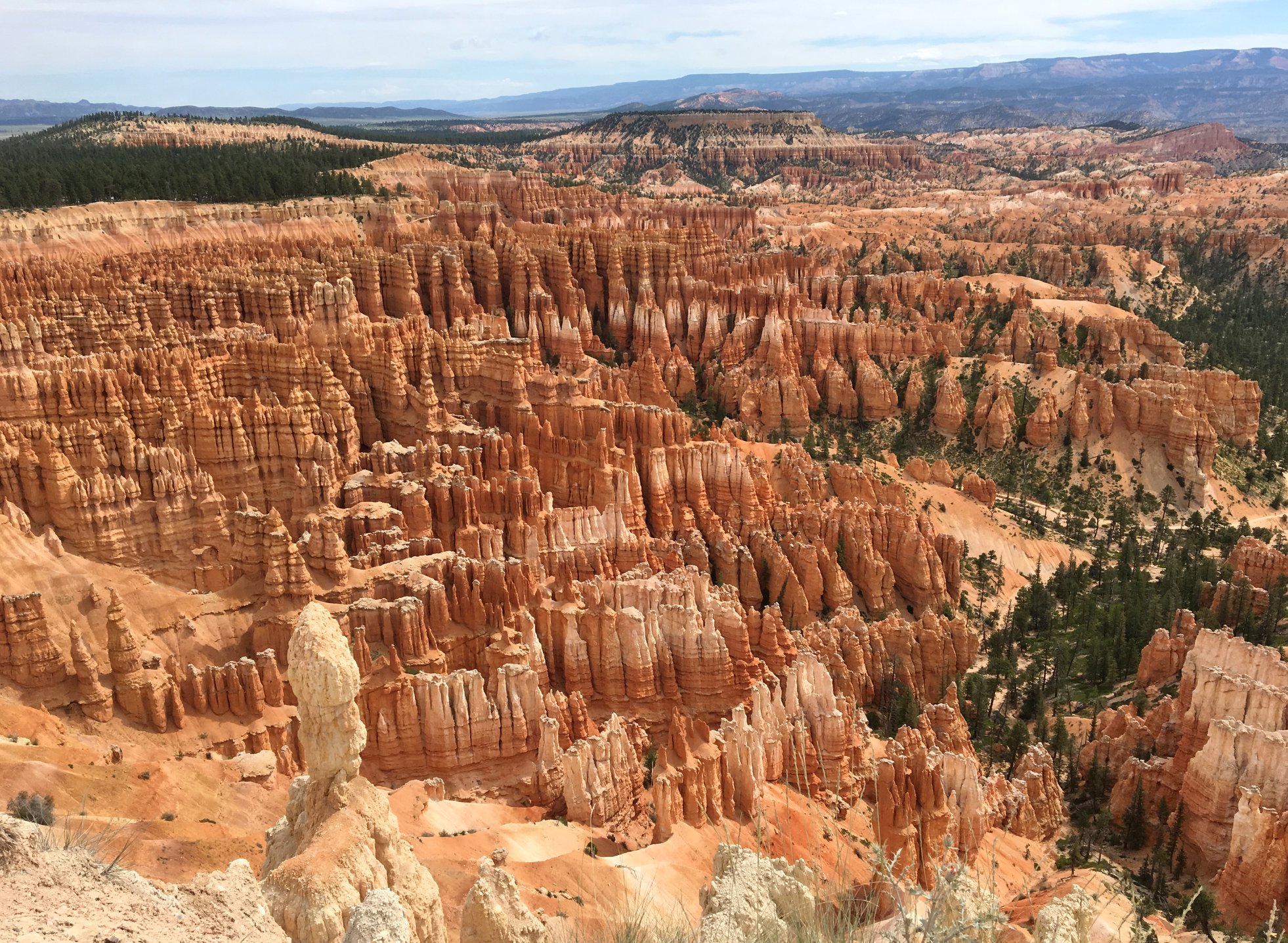 4th of July Trip: Day 4 – A Grand Farewell to&nbsp;Utah
