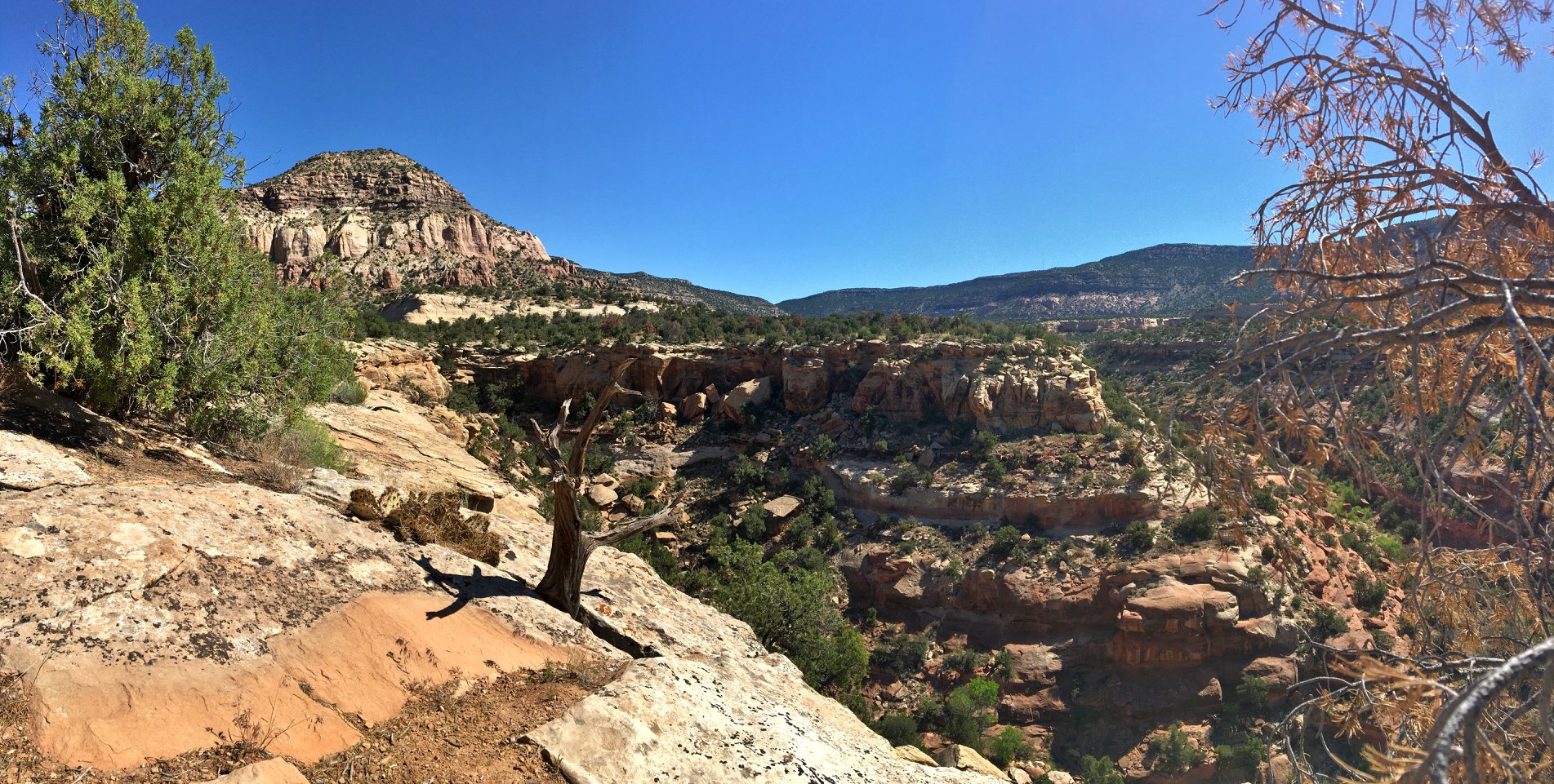 Day 2: Exploring Canyons of the Ancients, Four Corners, and a Spontaneous Trip to Lake&nbsp;Powell