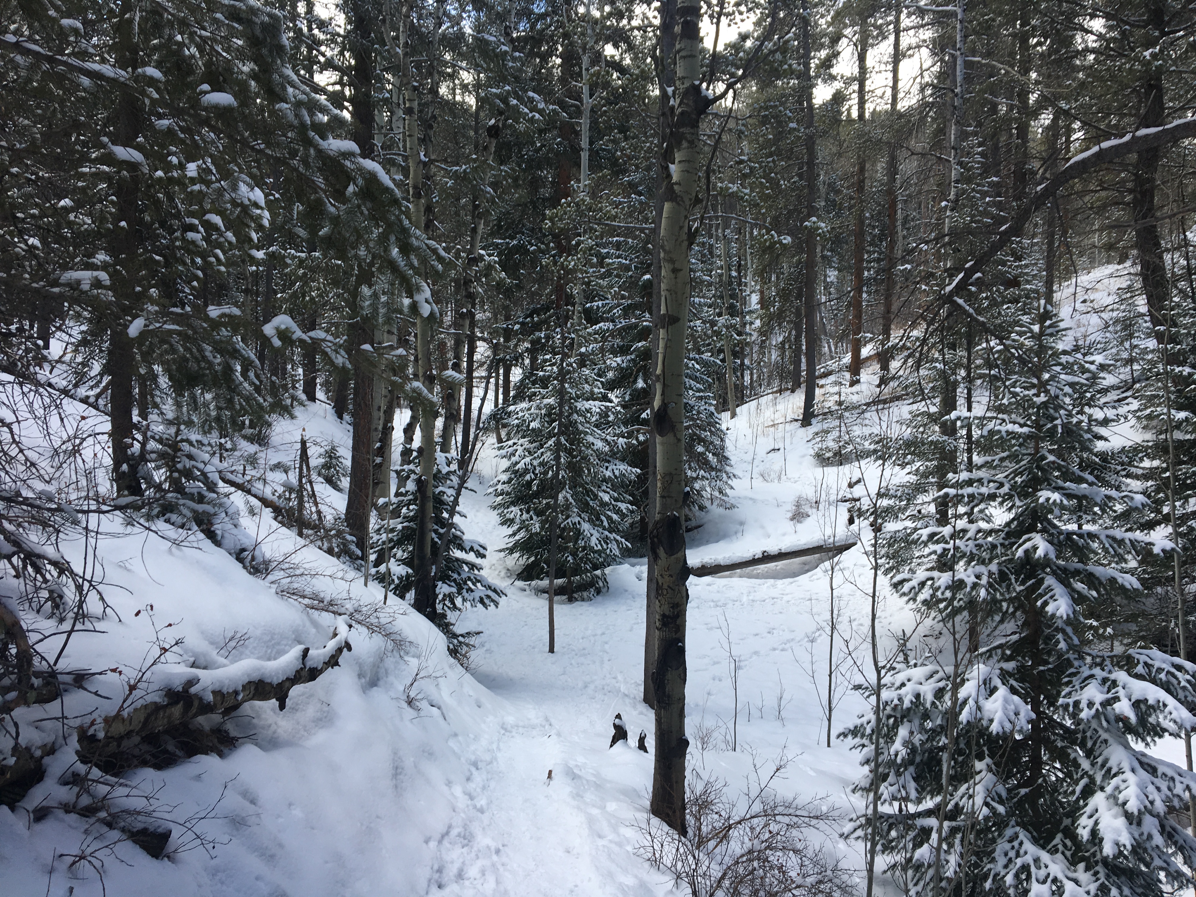 Lower Maxwell Falls Trail – A Frozen Wonderland in&nbsp;March