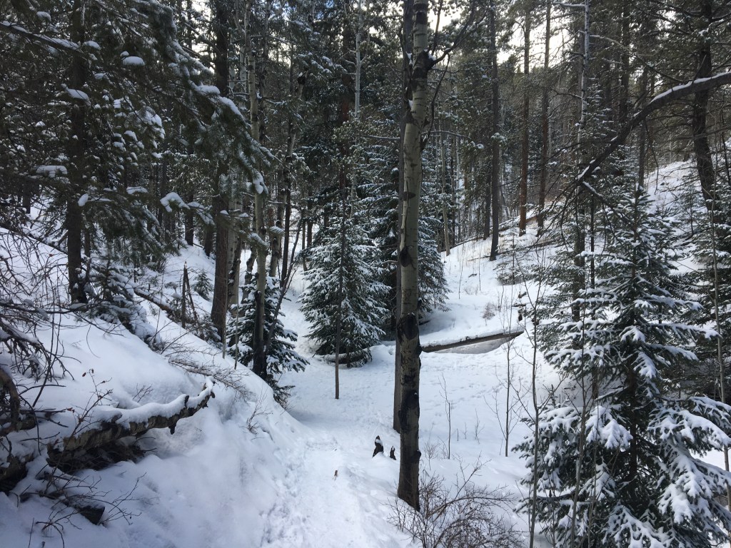 Lower Maxwell Falls Trail – A Frozen Wonderland in&nbsp;March