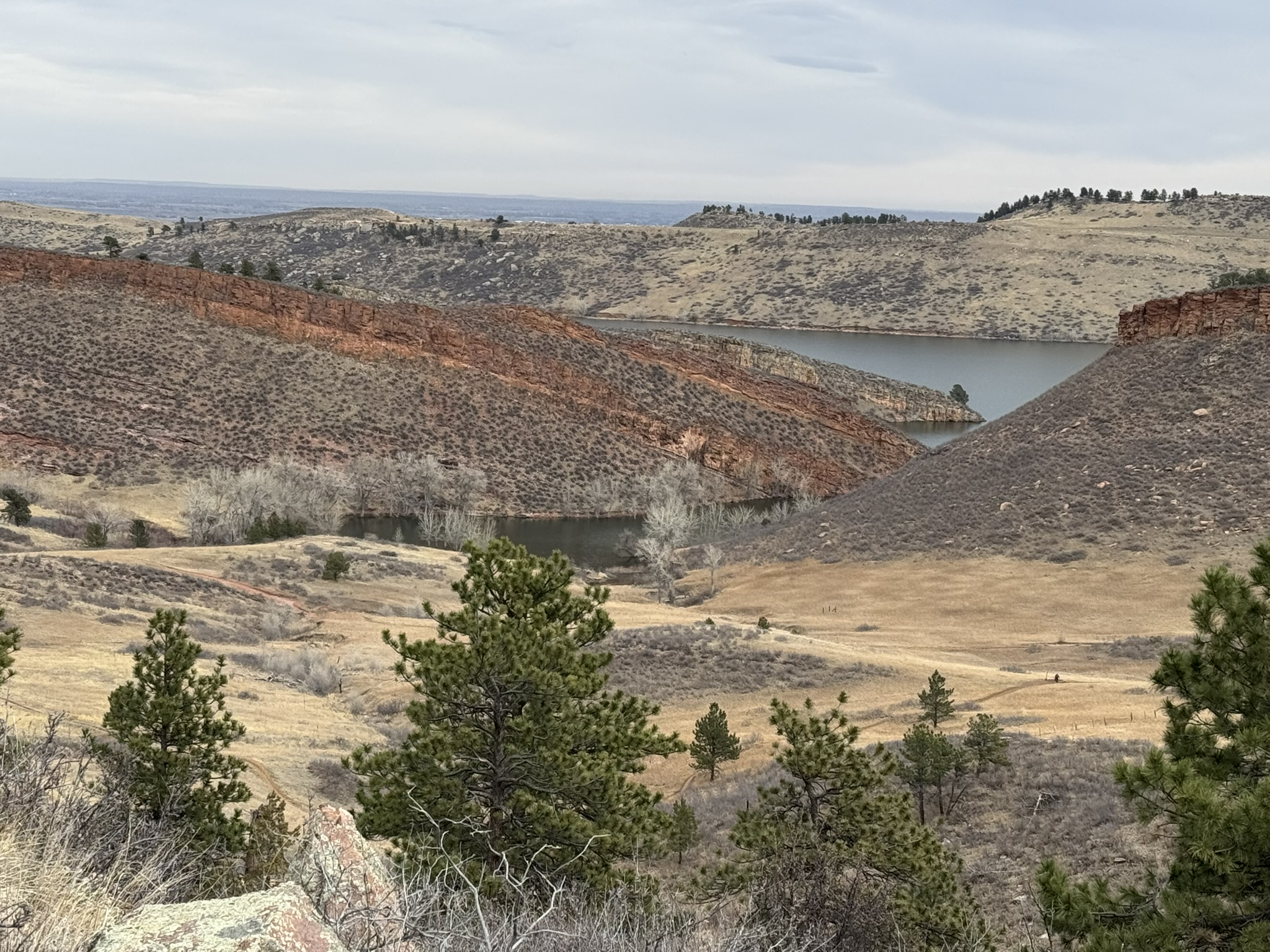 Spring Awakens at Horsetooth Mountain Open Space: A Soderberg Trailhead&nbsp;Adventure